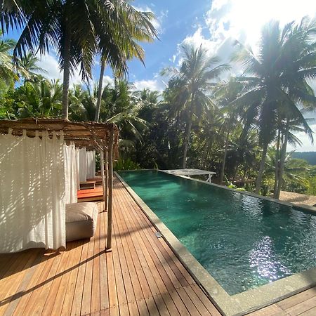 Spice Trader Hotell Sakti Rom bilde